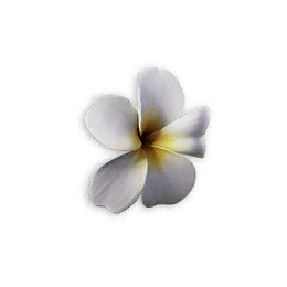 小白花头饰