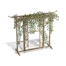 藤蔓乘凉架
