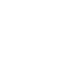 远归之蝶