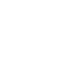 远归之蝶