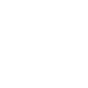 凝视的黑猫