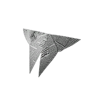 远归之蝶-故纸