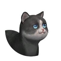 异维大猫-大吉大利