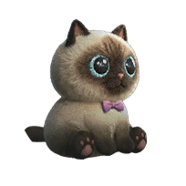 凝视的黑猫