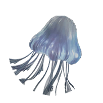极寒水母