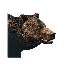 熊