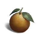 橘子