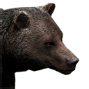熊