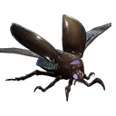 掠空热虫