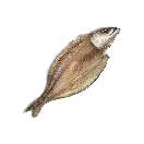 大块鱼干