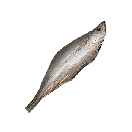 腌鱼