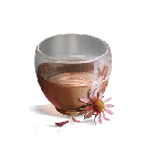 紫锥菊茶