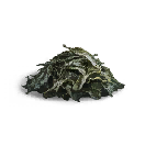 烤海草
